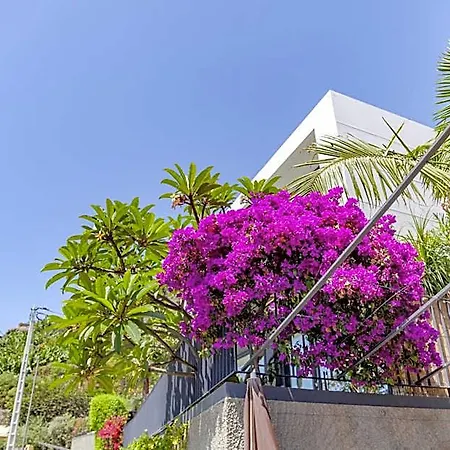 Quinta Golfinho Madeirã