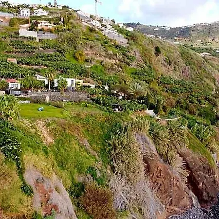 Quinta Golfinho